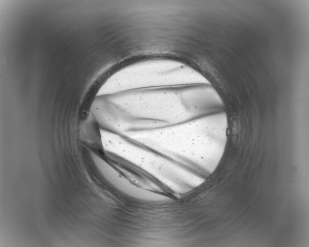 X0000063500684200602172119