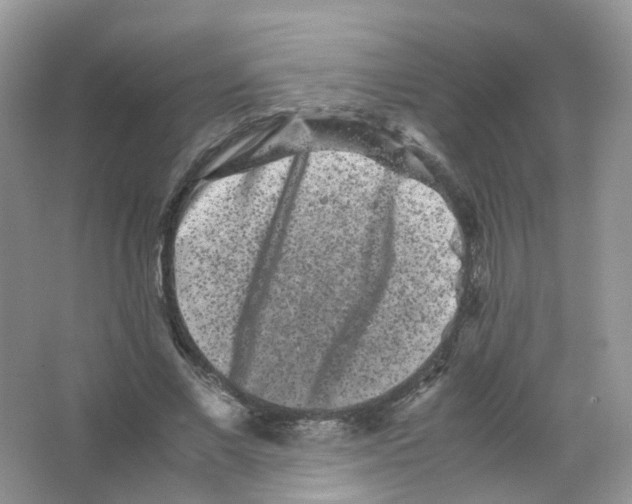 X0000063500685200602172119