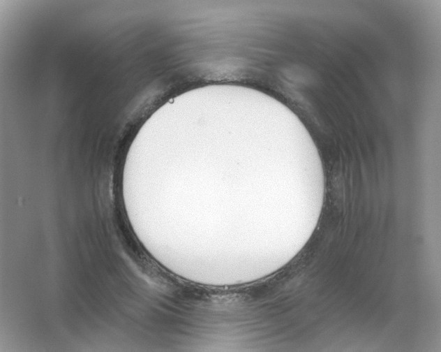 X0000063500686200602172119