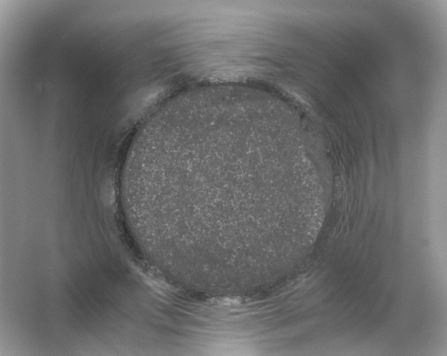 X0000063500687200602172119