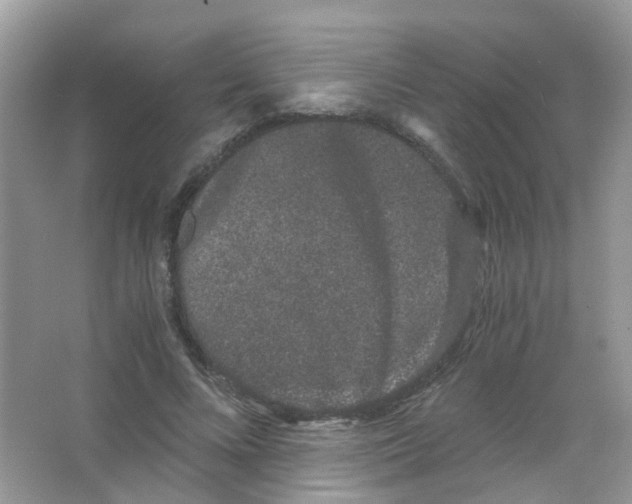 X0000063500688200602172119