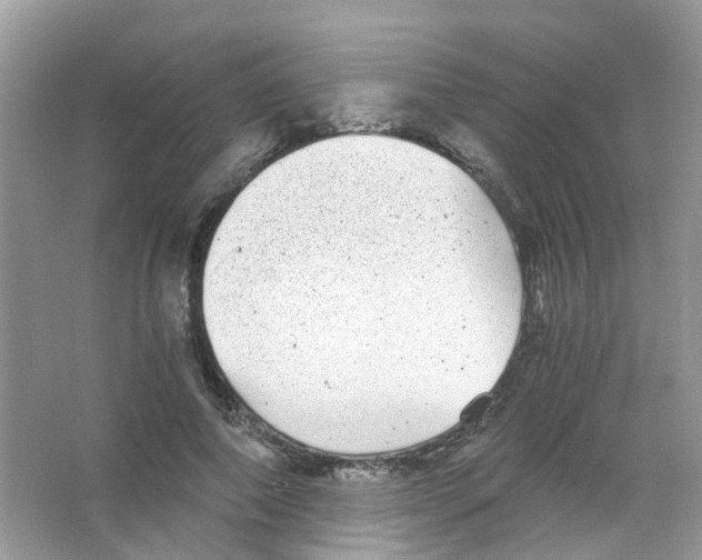 X0000063500690200602172119