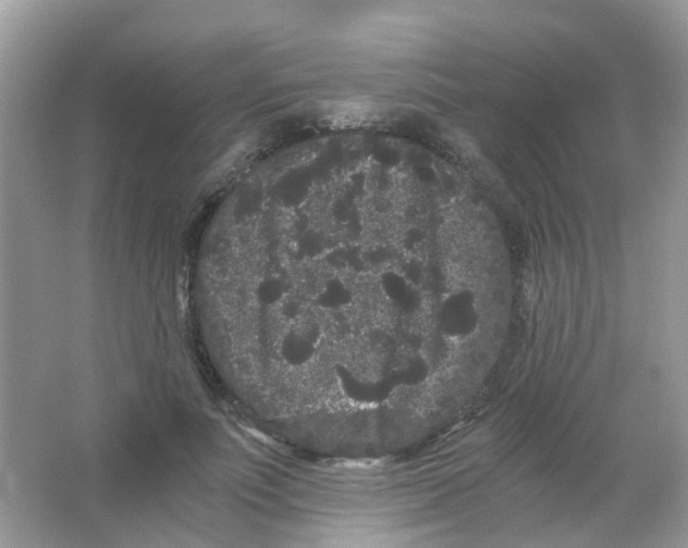 X0000063500691200602172119