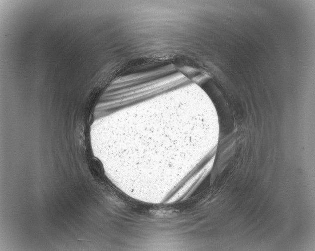 X0000063500693200602172119