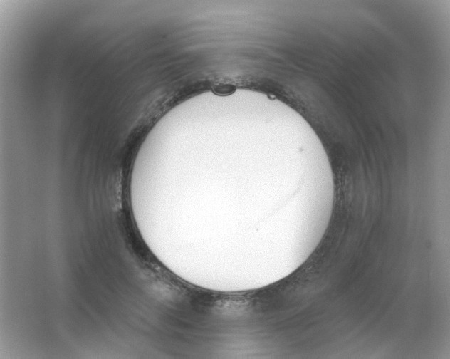 X0000063500694200602172119