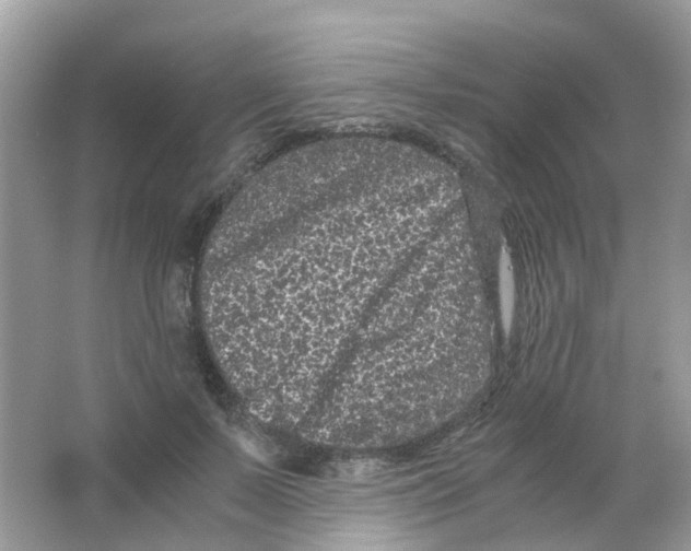 X0000063500695200602172119