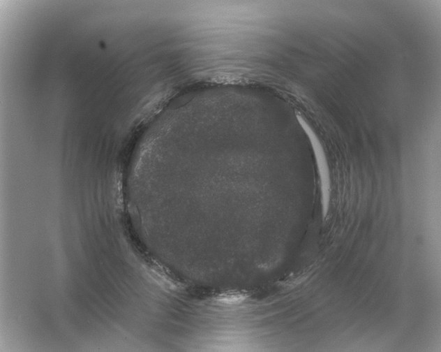 X0000063500696200602172119