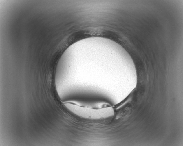 X0000063500697200602172119