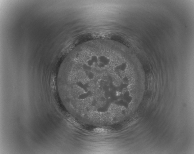 X0000063500699200602172119