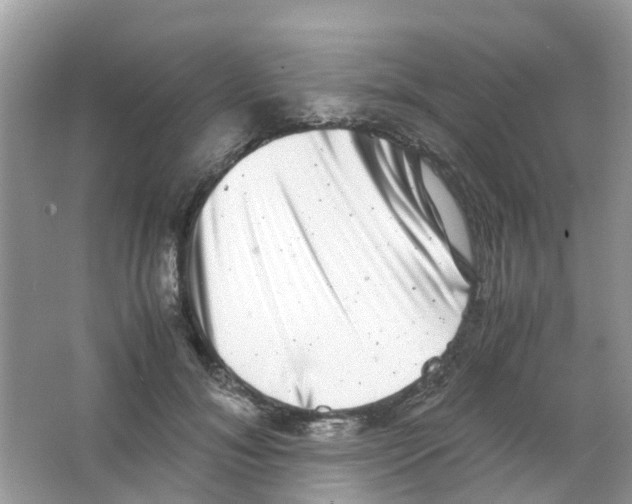 X0000063500700200602172119