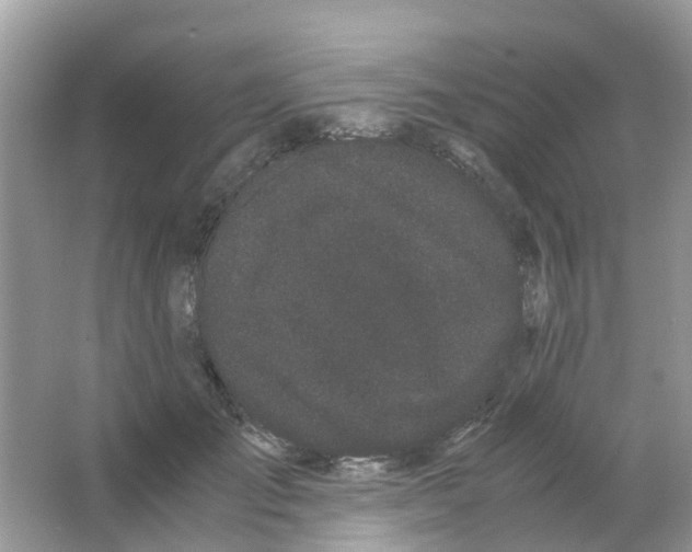 X0000063500701200602172119