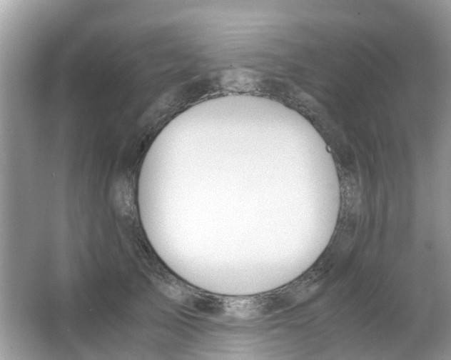 X0000063500705200602172119