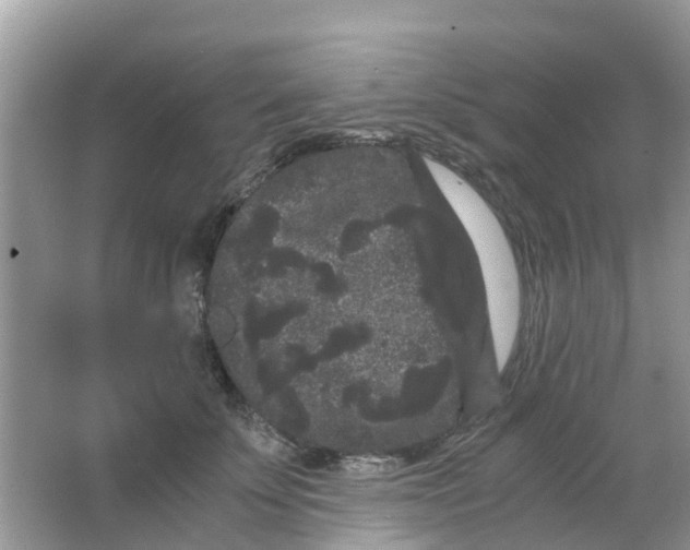 X0000063500707200602172119