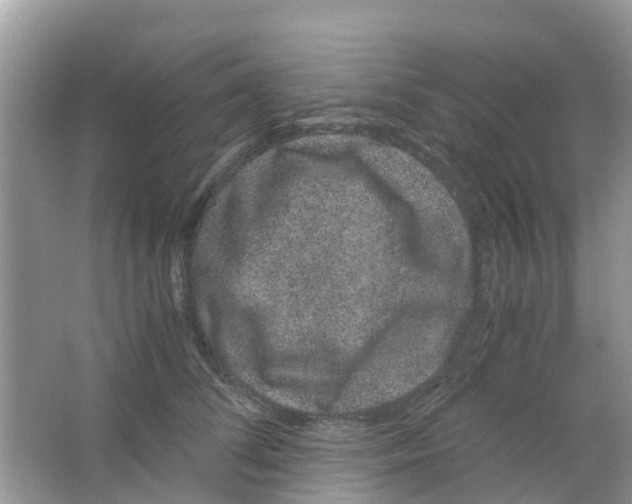 X0000063500708200602172119