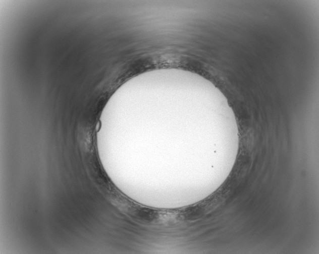 X0000063500709200602172119