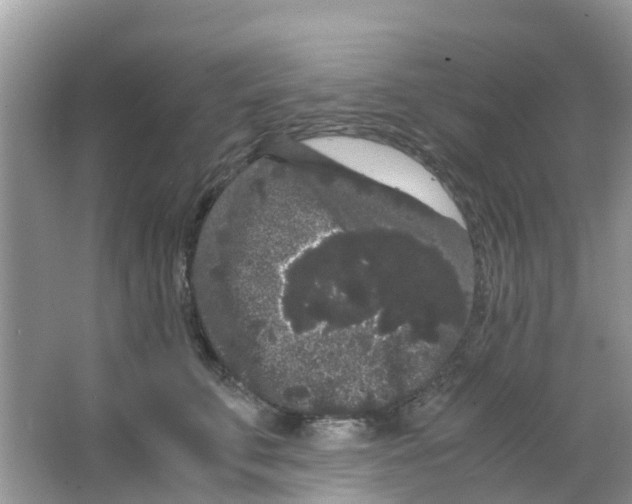 X0000063500711200602172119