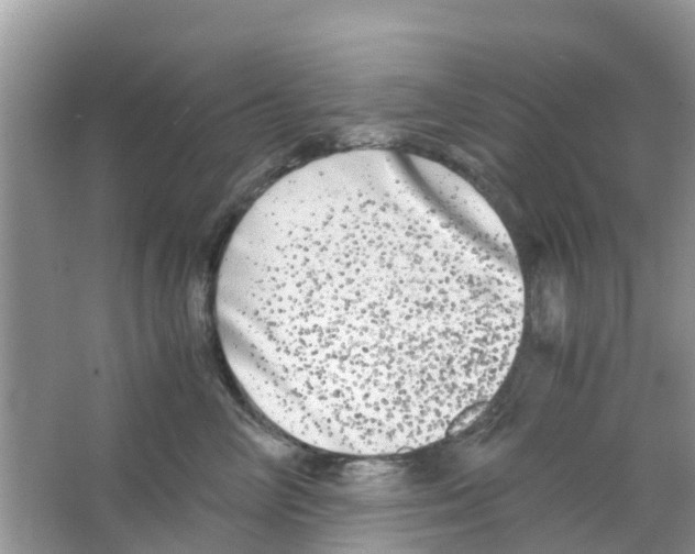 X0000063500714200602172119