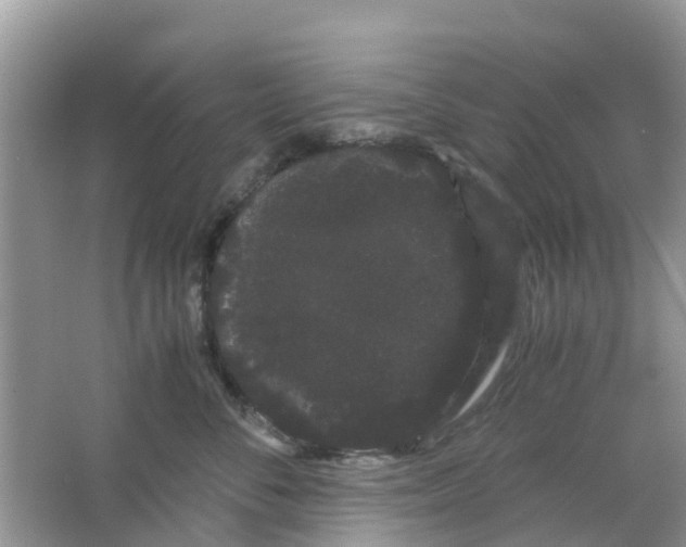 X0000063500716200602172119