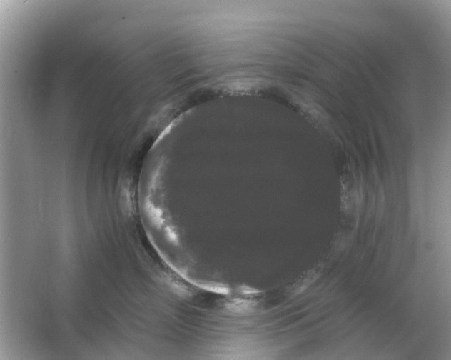 X0000063500718200602172119