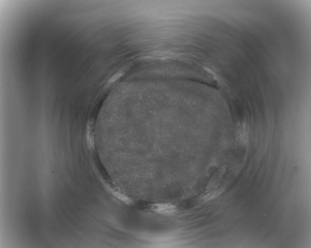 X0000063500719200602172119