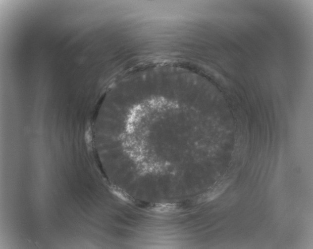 X0000063500720200602172119