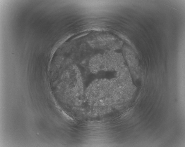 X0000063500721200602172118