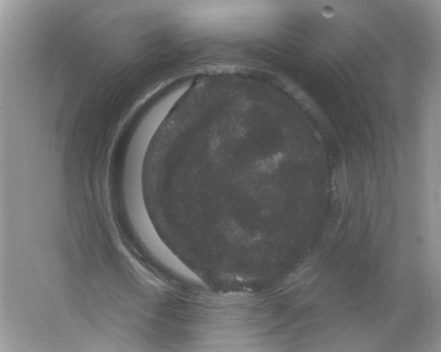 X0000063500722200602172118