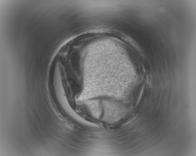 X0000063500724200602172118