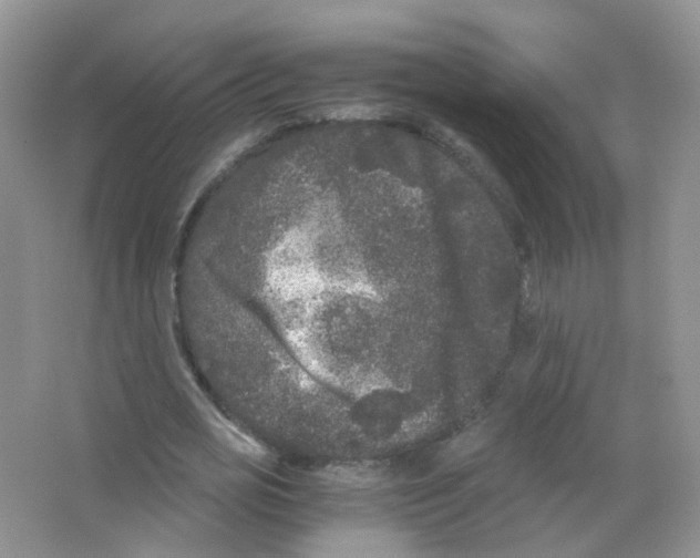 X0000063500725200602172118