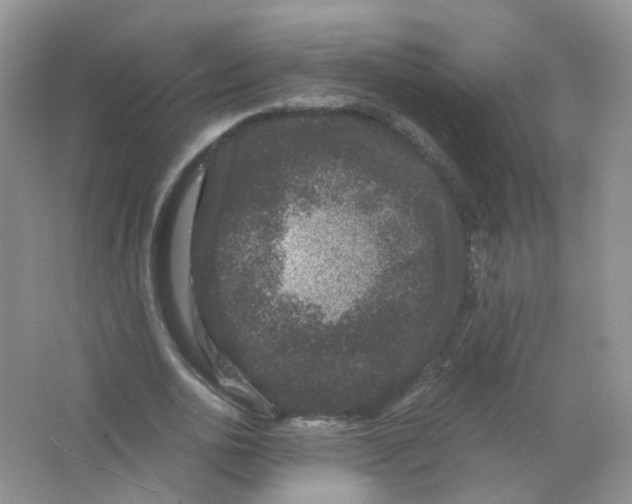 X0000063500726200602172118