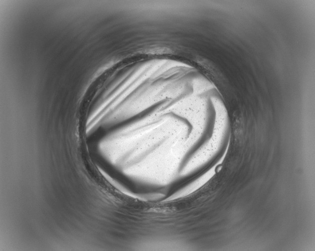 X0000063500727200602172118