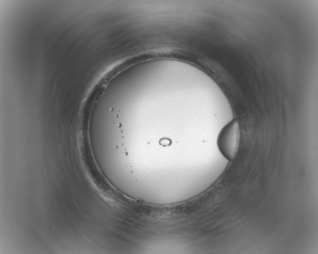 X0000063500728200602172118