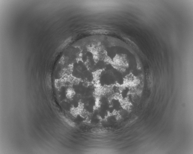 X0000063500729200602172118