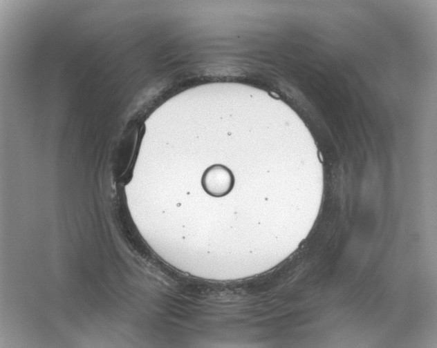 X0000063500731200602172118