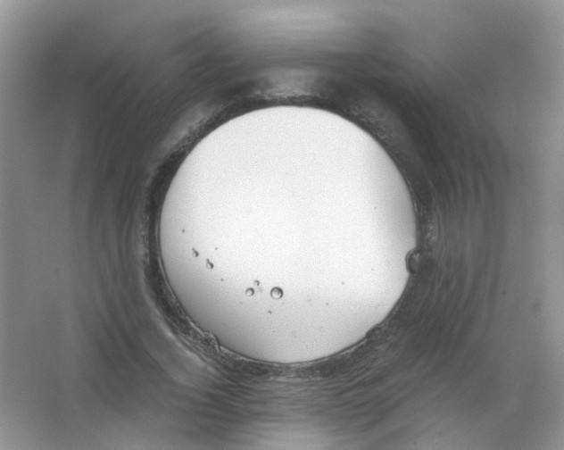 X0000063500732200602172118