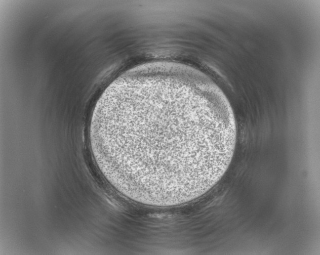 X0000063500733200602172118