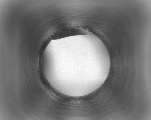 X0000063500735200602172118