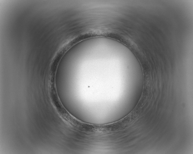 X0000063500736200602172118