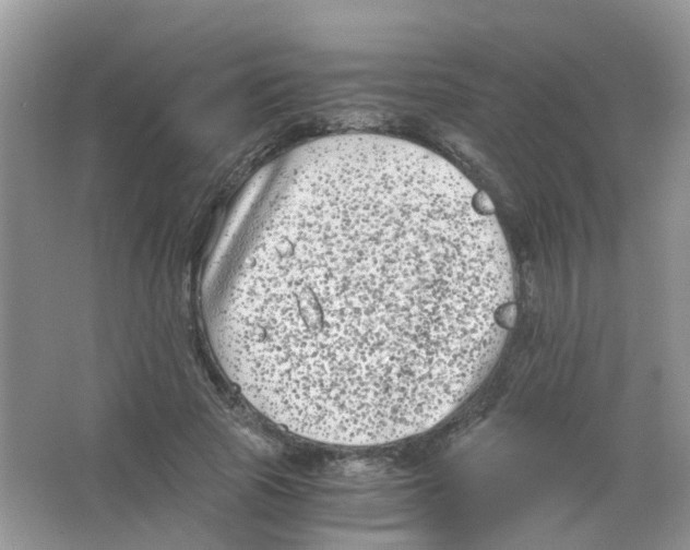 X0000063500737200602172118