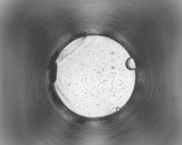 X0000063500738200602172118