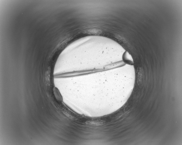 X0000063500739200602172118