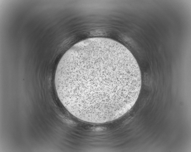 X0000063500741200602172118