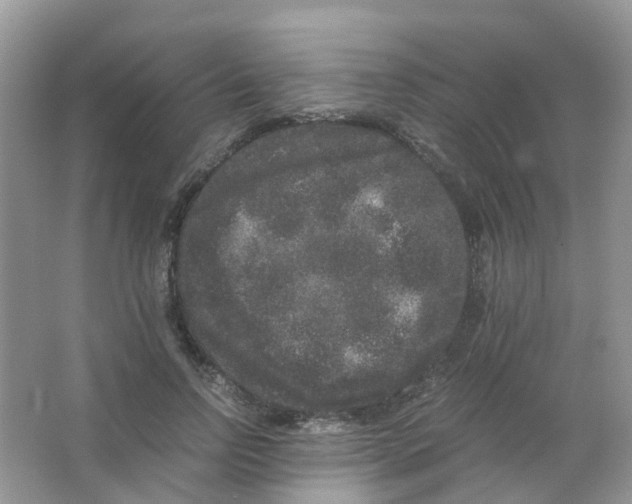 X0000063500742200602172118