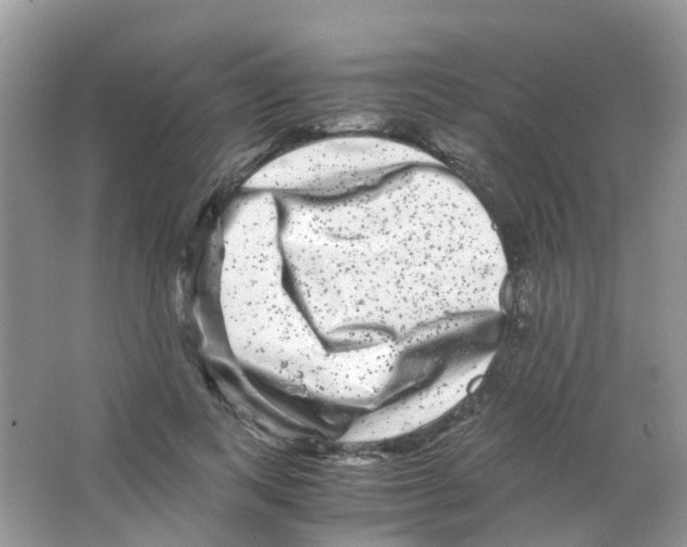 X0000063500743200602172118