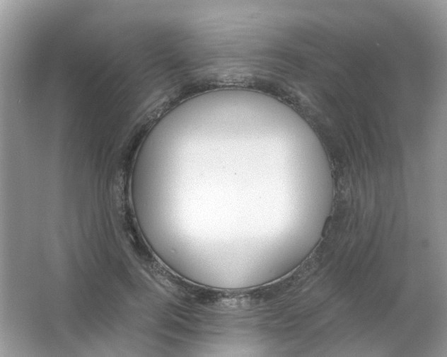 X0000063500744200602172118