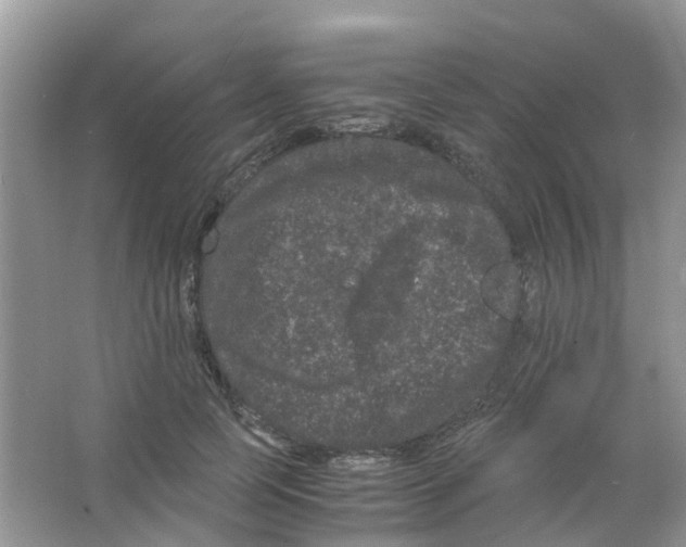 X0000063500745200602172118