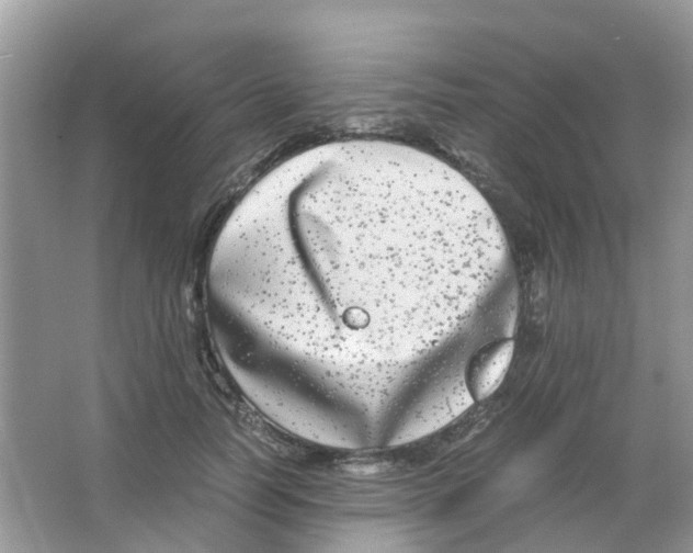 X0000063500746200602172118