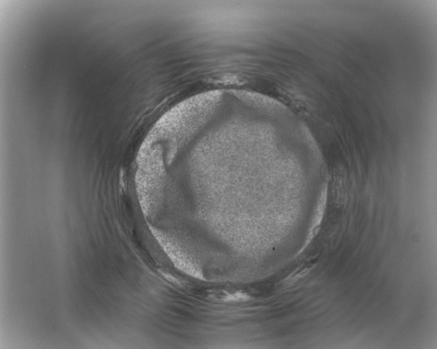 X0000063500747200602172118