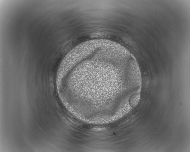 X0000063500749200602172118