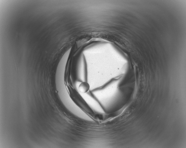 X0000063500750200602172118